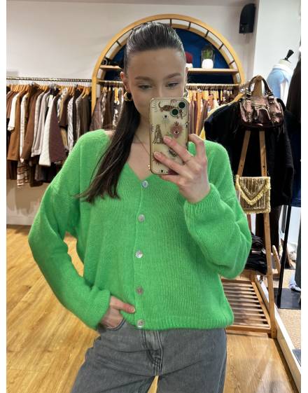 Gilet en alpaga vert brésil