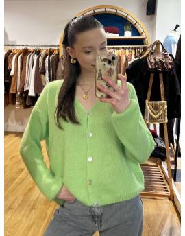 Gilet en alpaga vert clair