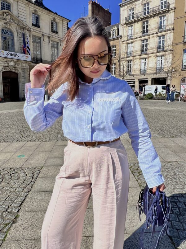 Chemisier Bleu À Rayures Avec Broderie
