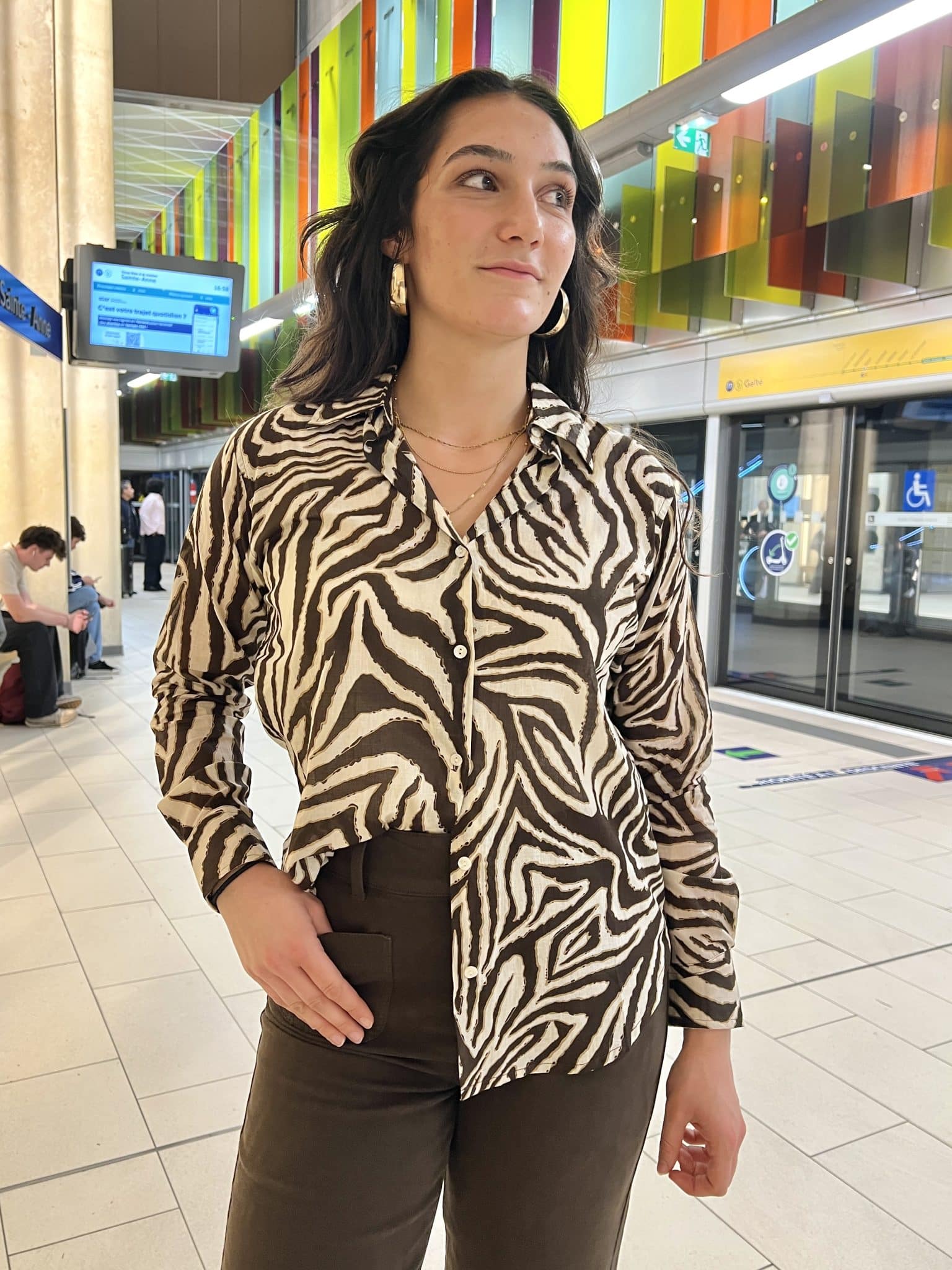 Chemise imprimé zèbre marron Img 1400